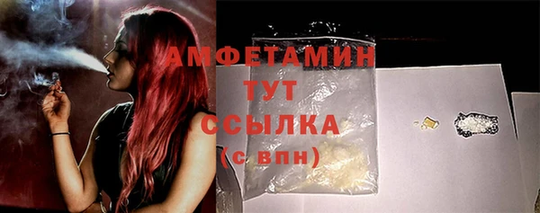 молекула духа Балахна