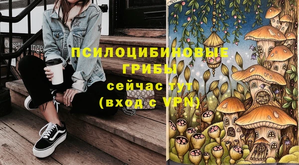 молекула духа Балахна