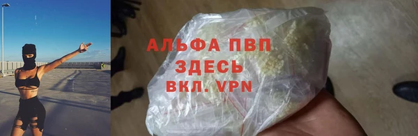 молекула духа Балахна