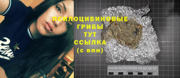 молекула духа Балахна
