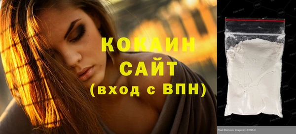 крисы Ростов