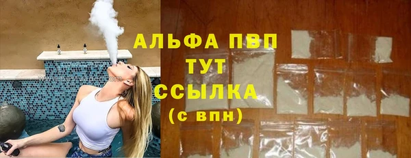молекула духа Балахна